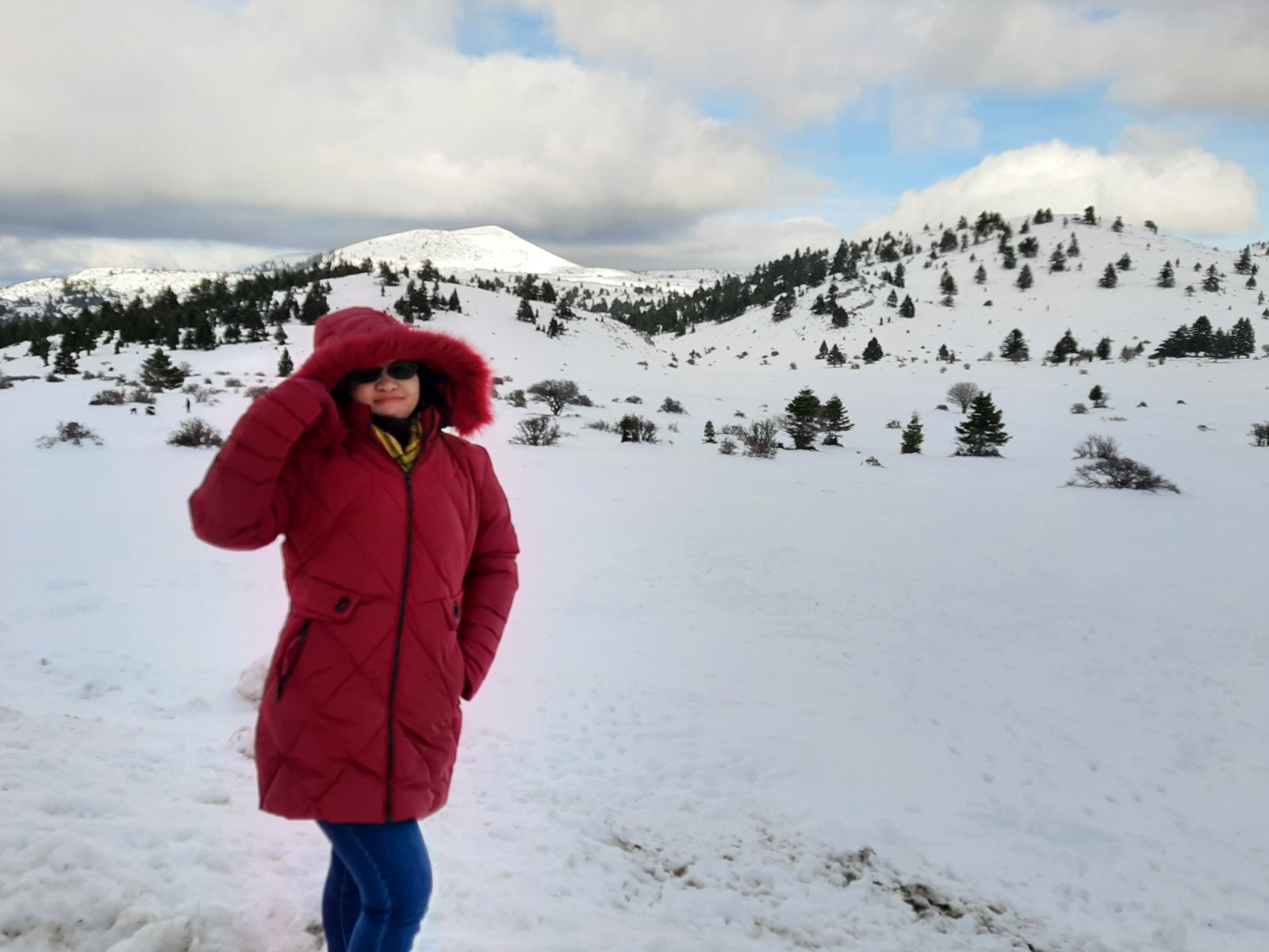Jeralyn S.'s profile photo