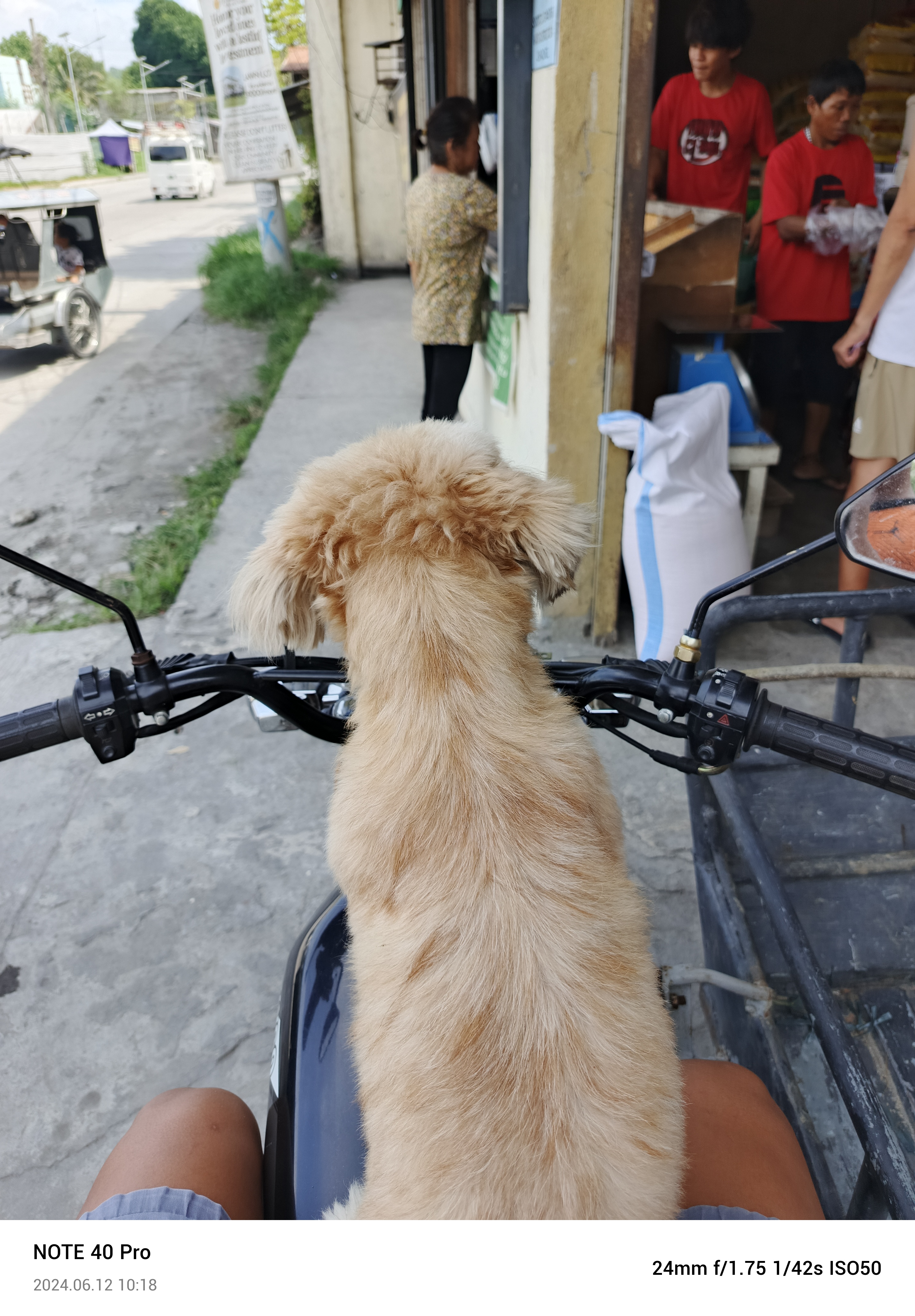 Rey Bryan C.'s profile photo