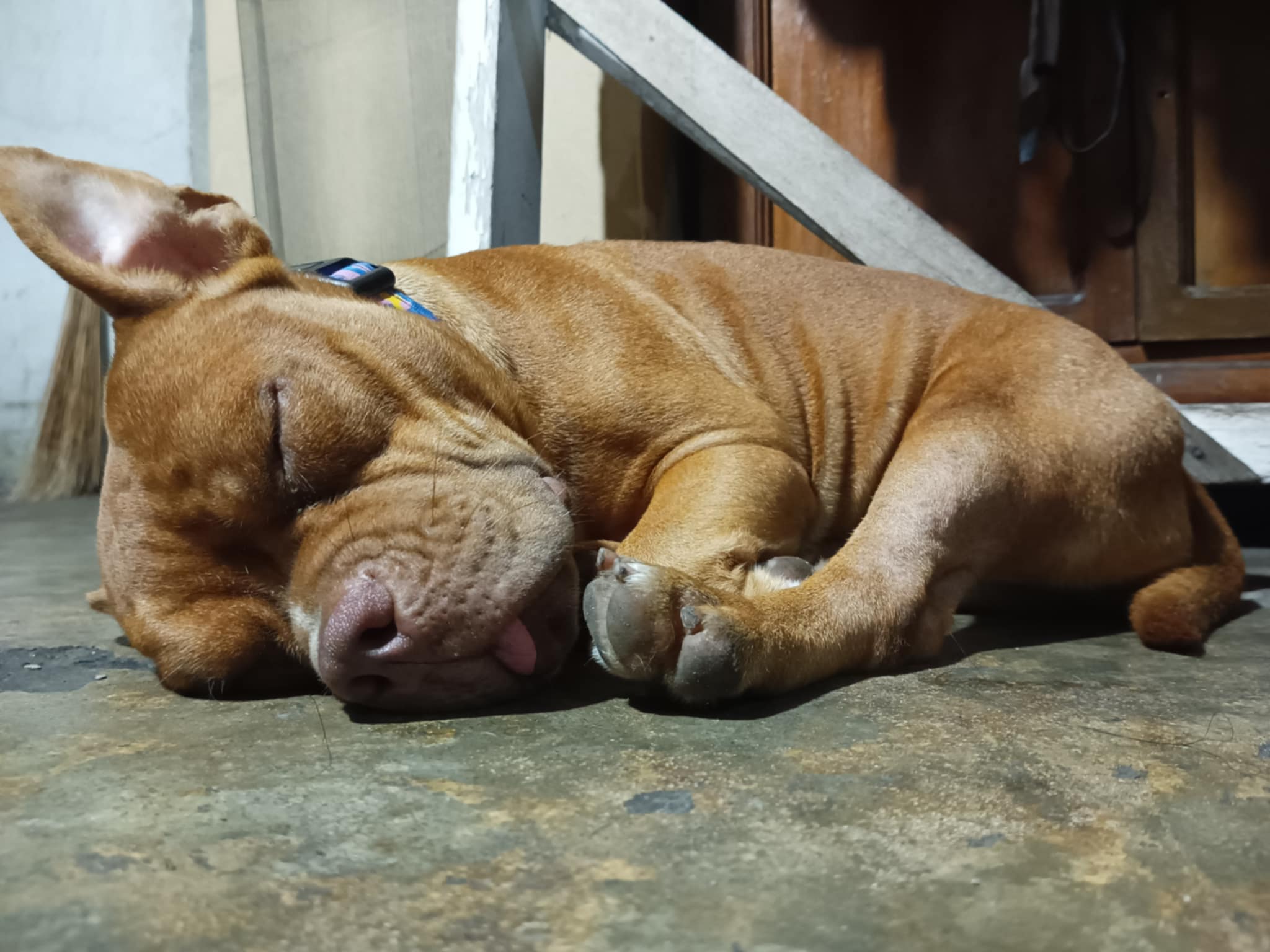 jasper raymond C.'s profile photo