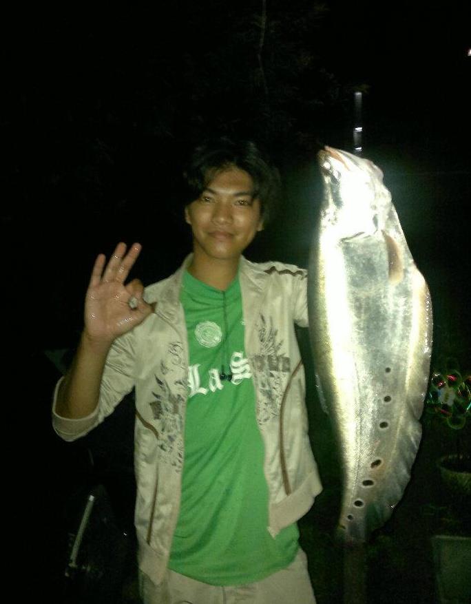 Teodorico P.'s profile photo