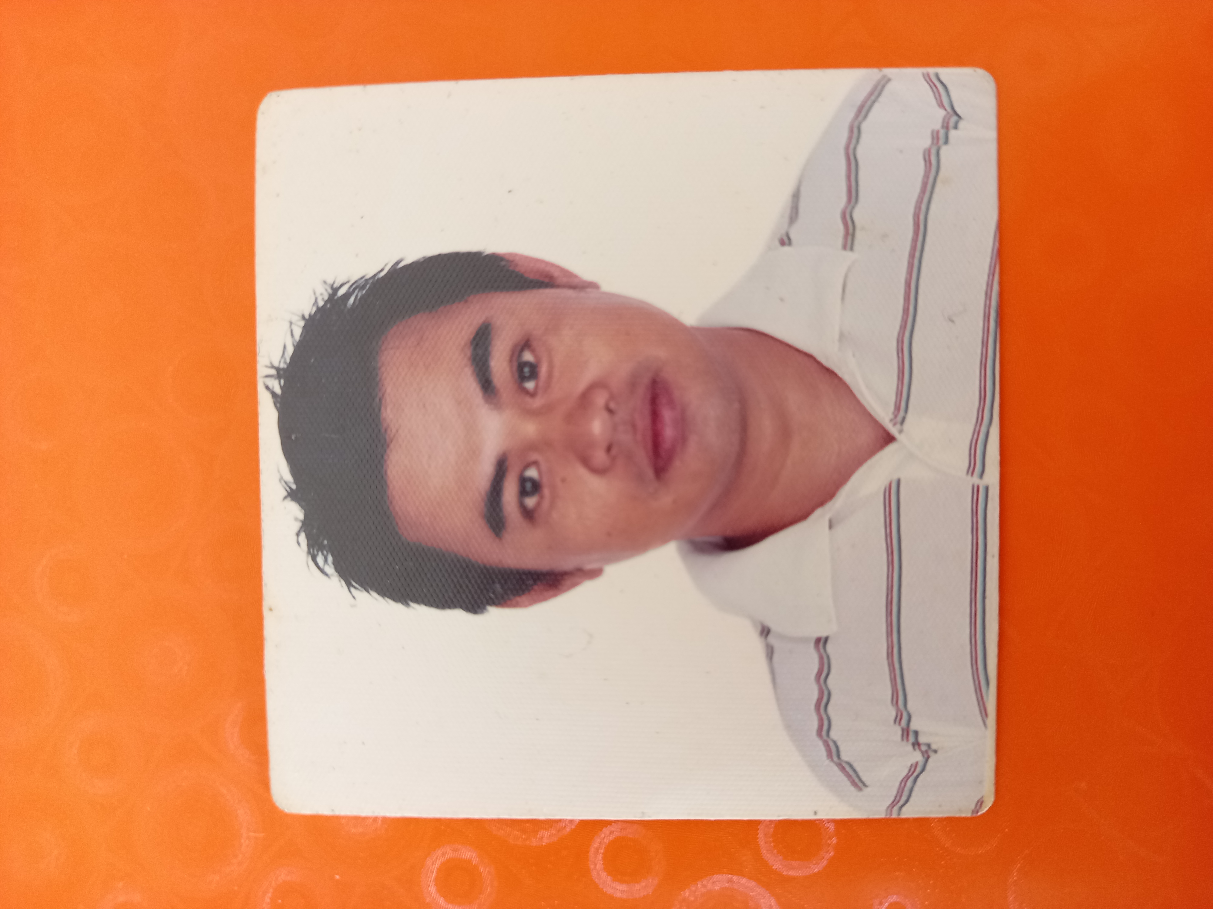 Jose luis M.'s profile photo