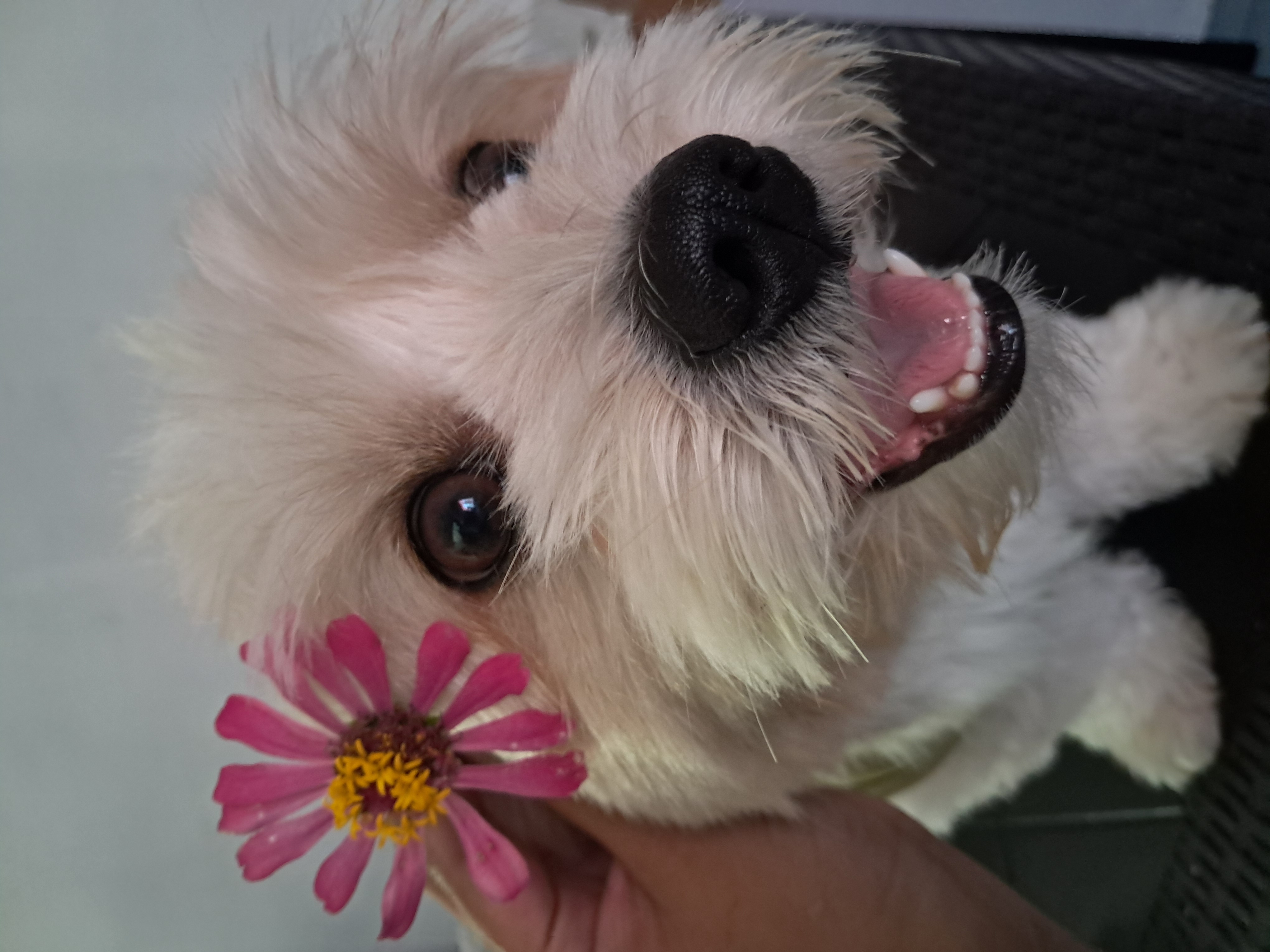 Leslie S.'s profile photo