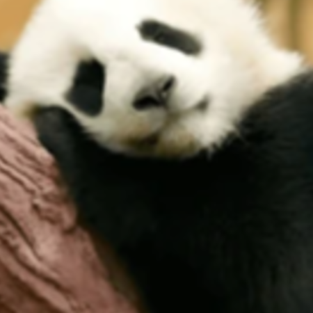 Charlize Clare M.'s profile photo